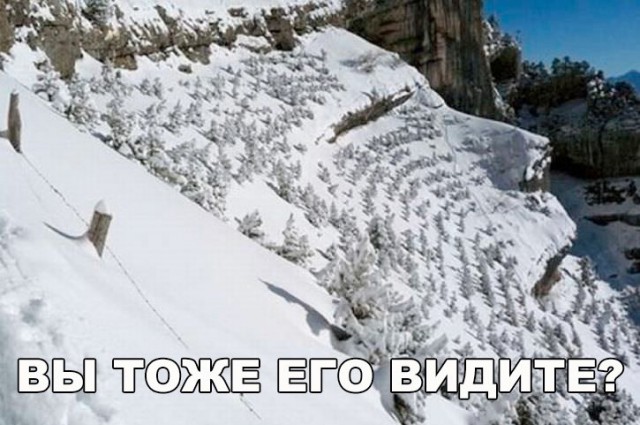 Подборка безудержного веселья