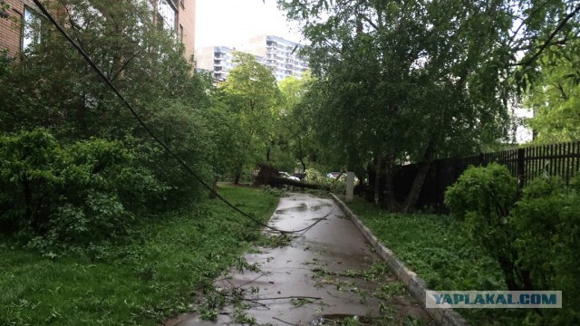В Москве ураган!