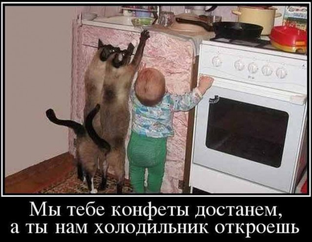 Миссия Холодильник
