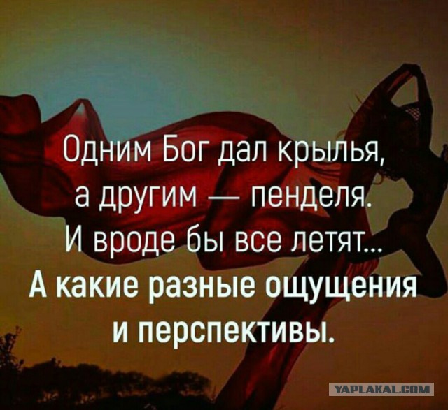 Точка бифуркации пройдена...