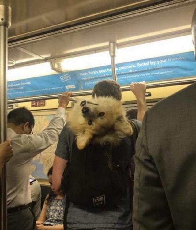 Подборка интересных и веселых картинок