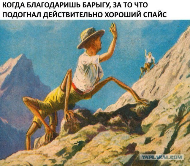 Деградируйте на здоровье