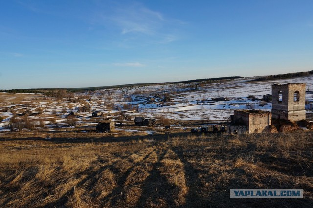 Вятский гектар