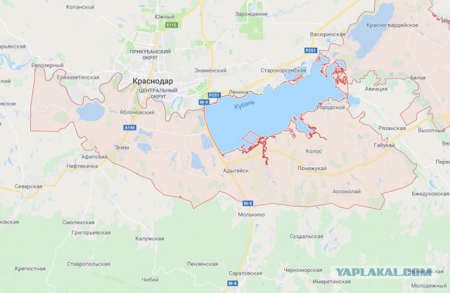 Под Краснодаром силовики жестко задержали группу уроженцев Грозного