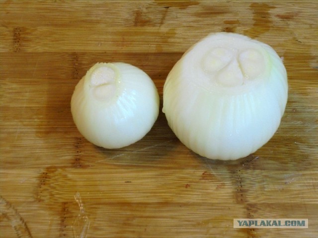 Кулинары поздравляют ЯП с днём рождения!