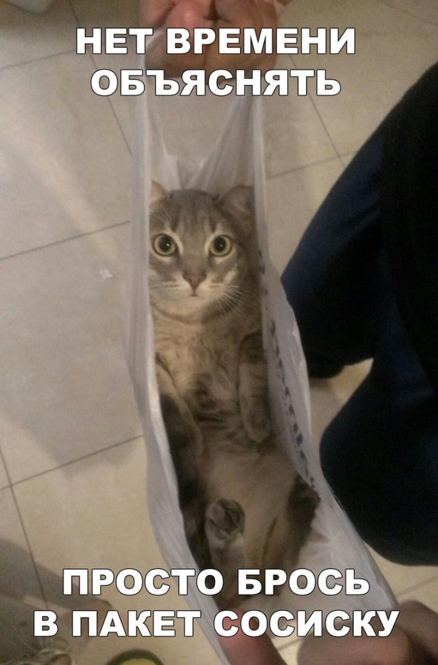 Нестандартный юмор