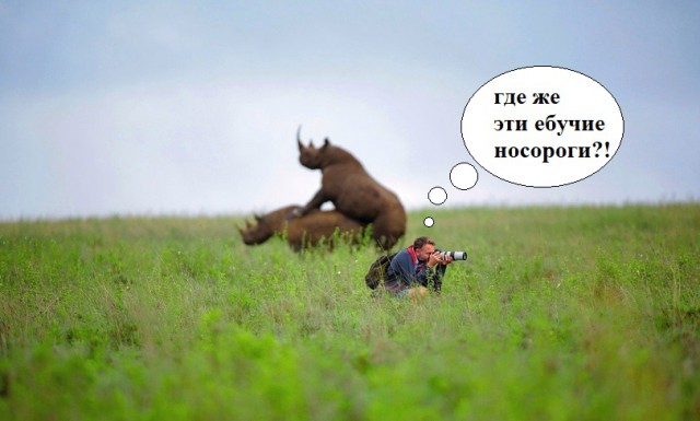 Всякие картинки
