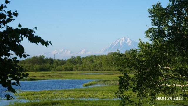 Камчатка. Природный парк Ключевской группы вулканов.