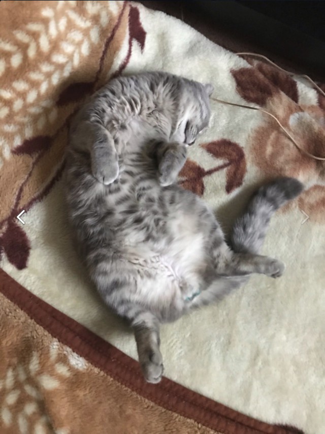 Немного милоты