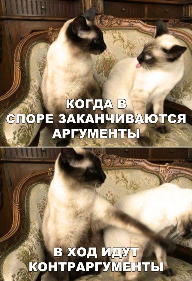 Немного милоты