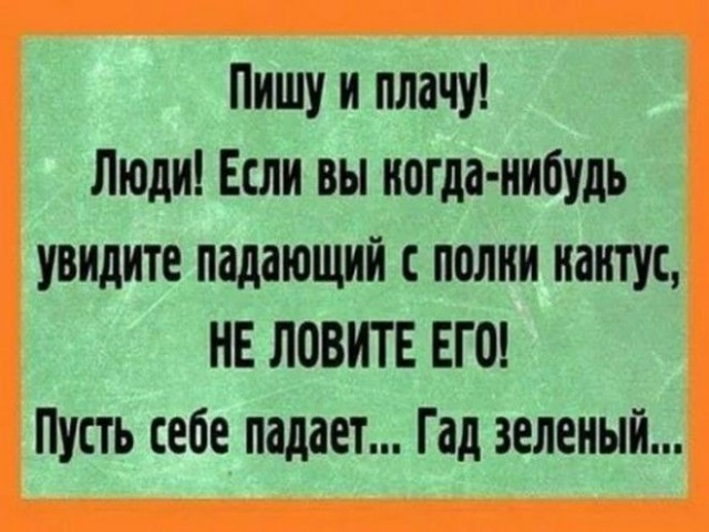 Бредзона