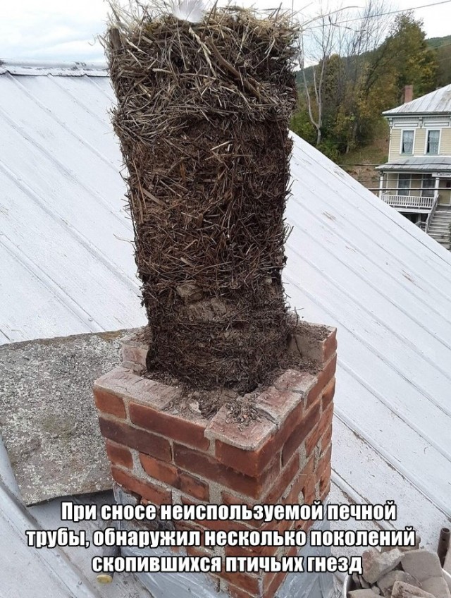 Картинки на воскресный день