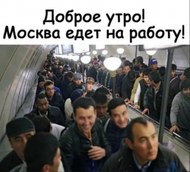 Бредзона из картинок