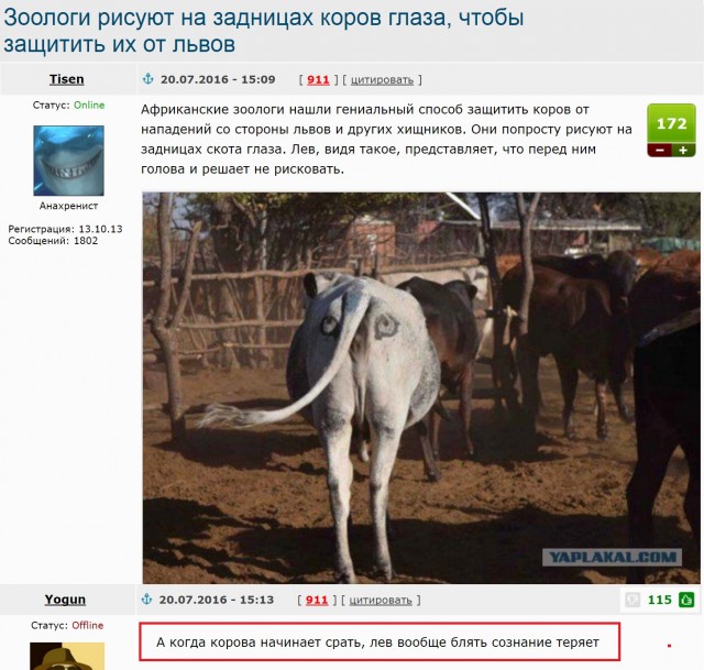 Смешные комментарии на ЯПлакалъ