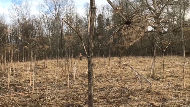 Две супер находки в Исчезнувшем поселении! Нашли Святыня старообрядцев в Заброшенной Деревне!