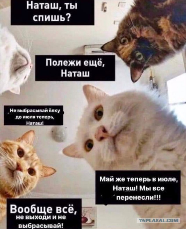 Пандемия. Коронавирус. Россия и мир. Последняя информация. Часть 13