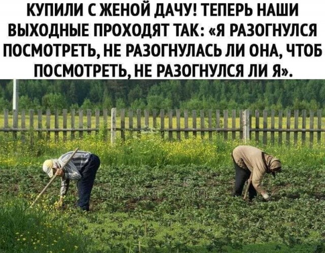 Немного картинок для настроения 31.05.20