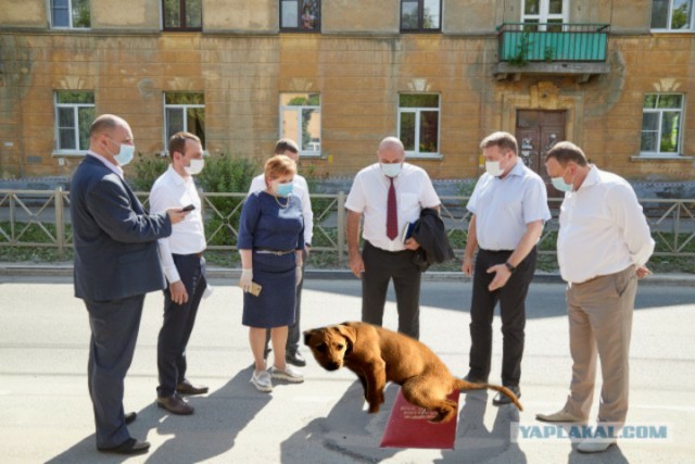 Мастерам фотошопа