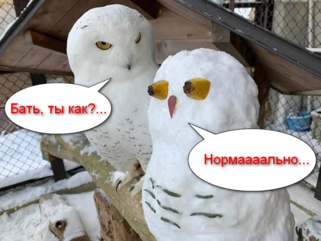 Надоела солянка-будет MIX...