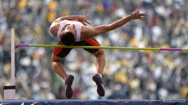 Упорство и труд....