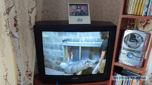Легендарные телевизоры 90-х: Funai, JVC, Aiwa и другие.