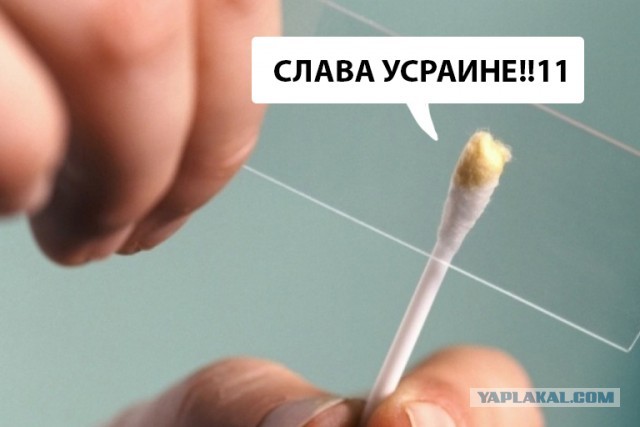 Киев отказался признавать договоренности Путина и Байдена по Украине