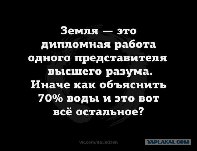 Забавные шутки, картинки и фразы из этих ваших интернетов 27.10.2021