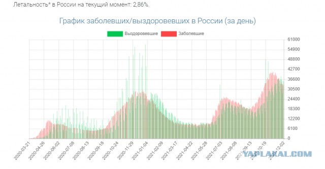 Найдено лекарство от короновируса, или как победить корону на примере отдельно взятой страны!