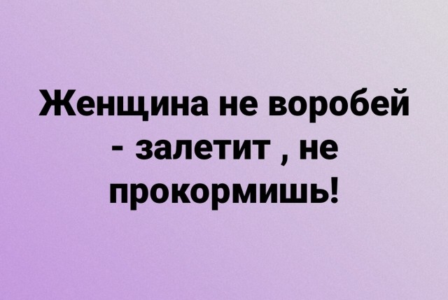 Весёлый полтишок 14.03