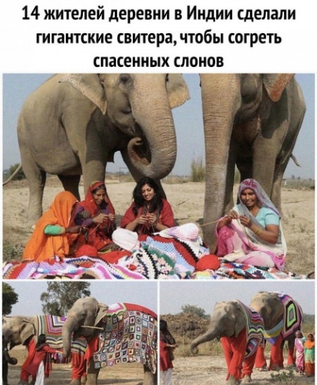 Картинки и мемы, начало праздников