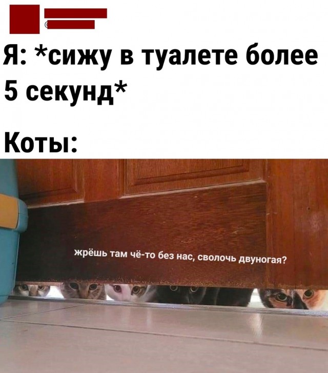 Чуток картинок 13.06.22