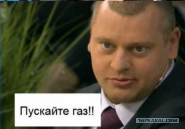 Шойгу назвал «дружественные государства» России