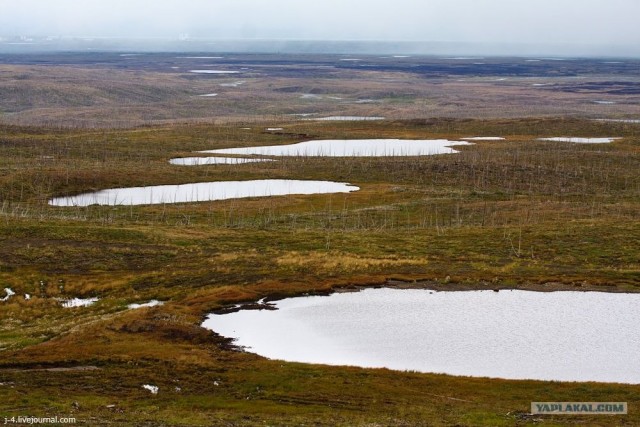 За Полярным кругом. Норильск. Тундра.