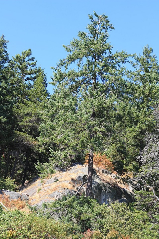 Деревенская Америка