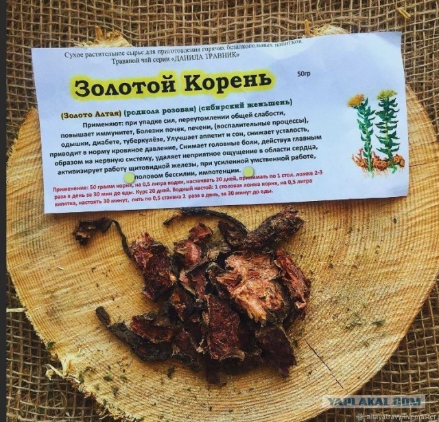 Пандемия съехавших крыш - разновидности болезни. Россия и мир. Часть 41.