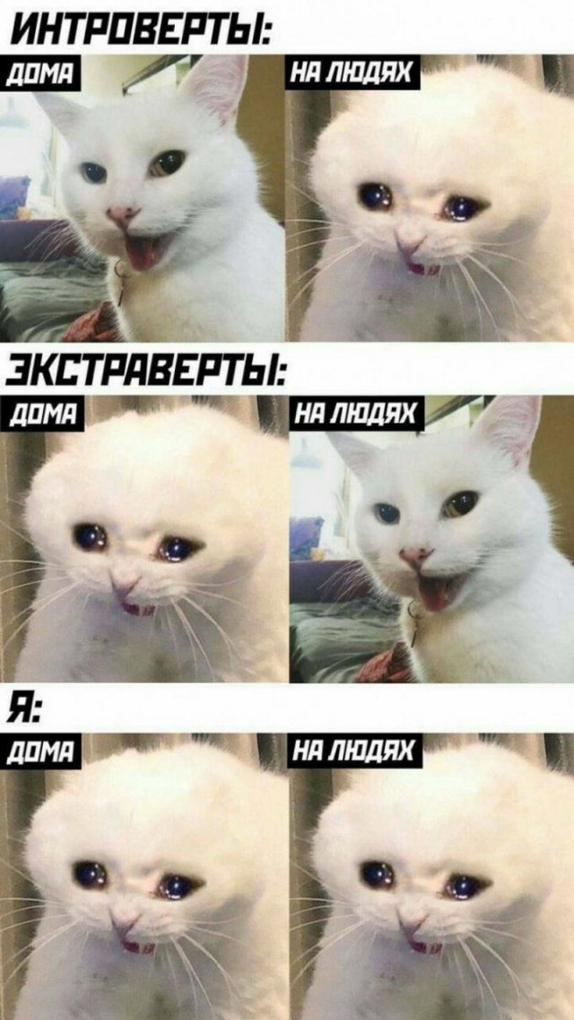 Немного картинок для настроения - 117
