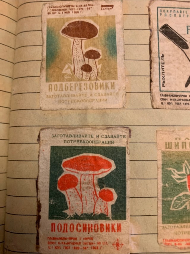 Маленький филуменист.
