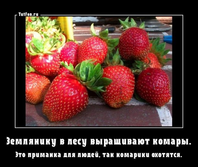 Нуштош 28.02.23