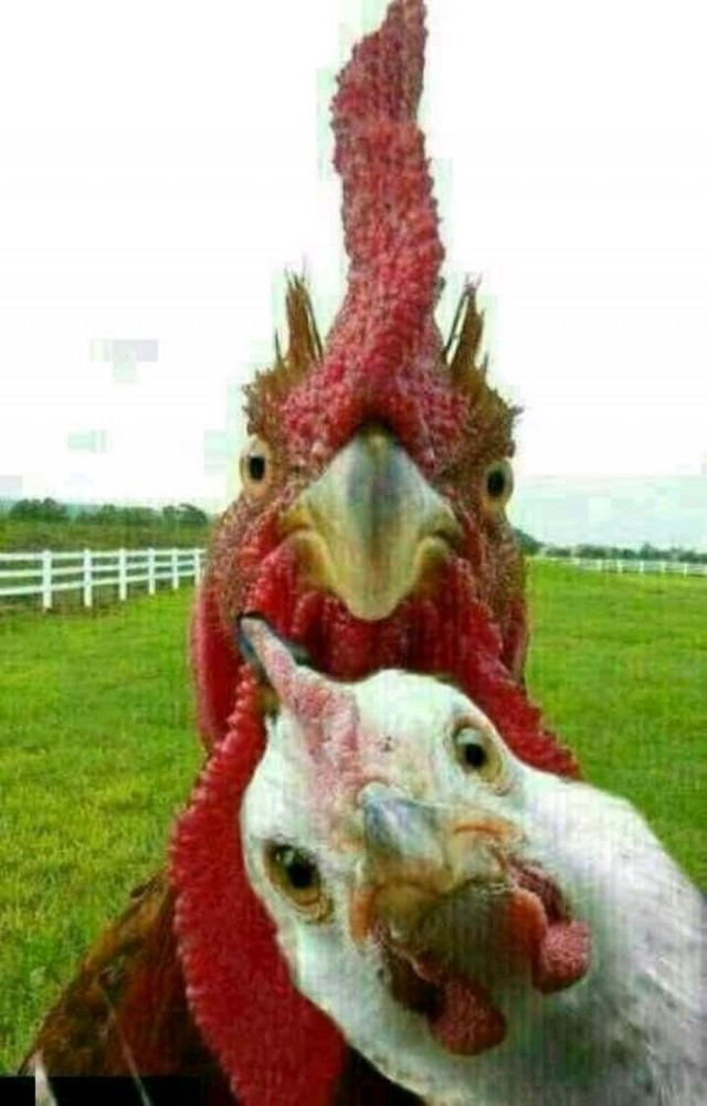 Про измену без нытья⁠⁠