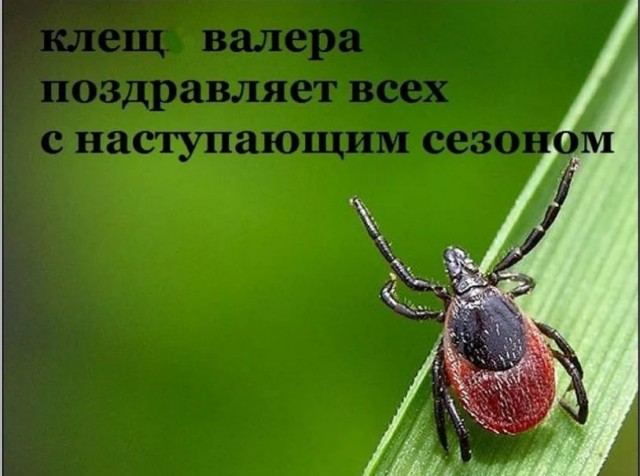 Победная поступь идиотизма по планете – том 10