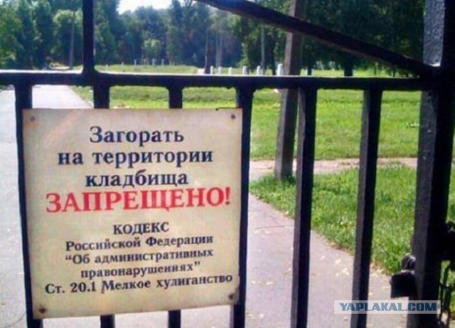Победная поступь идиотизма по планете – том 10