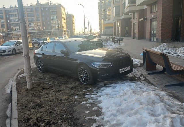 Никто лучше Гузеевой не скажет