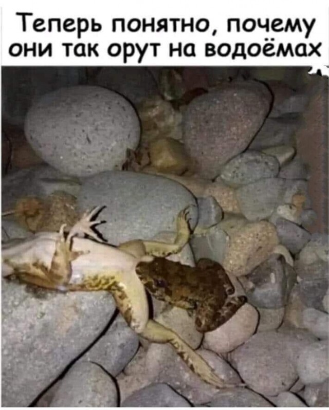 Стала грубой и высокомерной