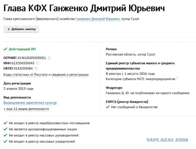 Искупались идиоты или как обнулить свой бизнес