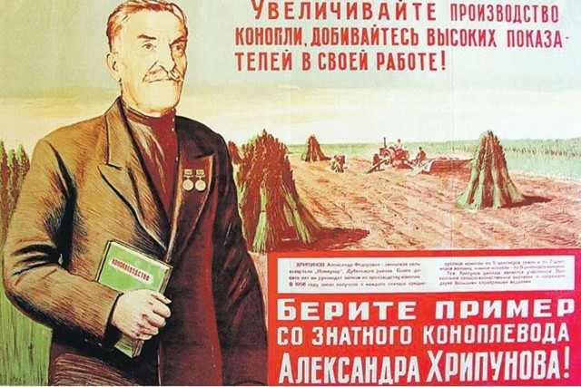 Прикольные и просто красивые картинки 14.07.2023