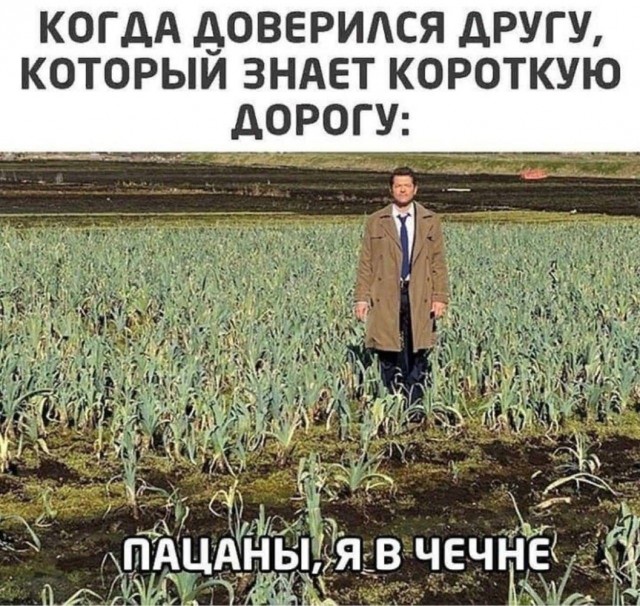 Отряд быстрого деградирования