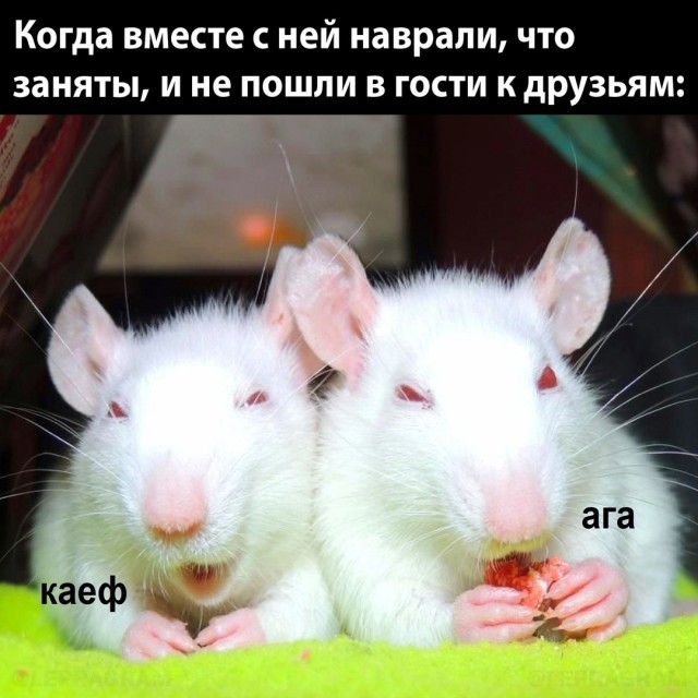 Немного лёгкой *банцы, наркомании и деградации в ленту 3