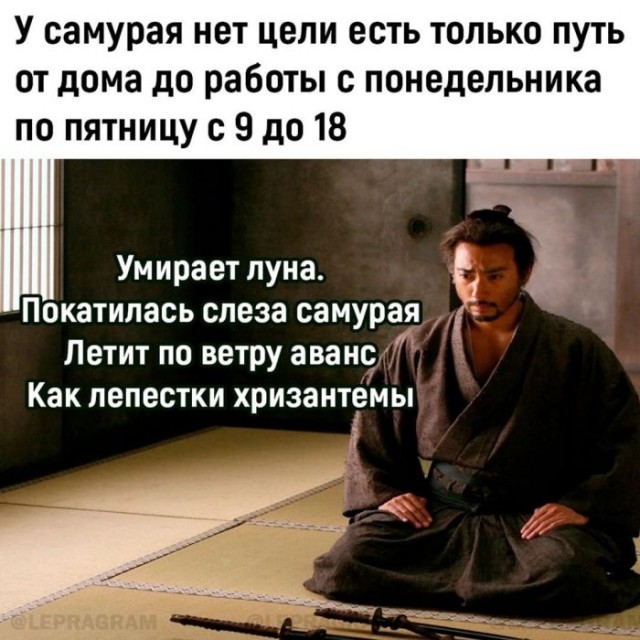 Веселые картинки к пятнице (09.08)