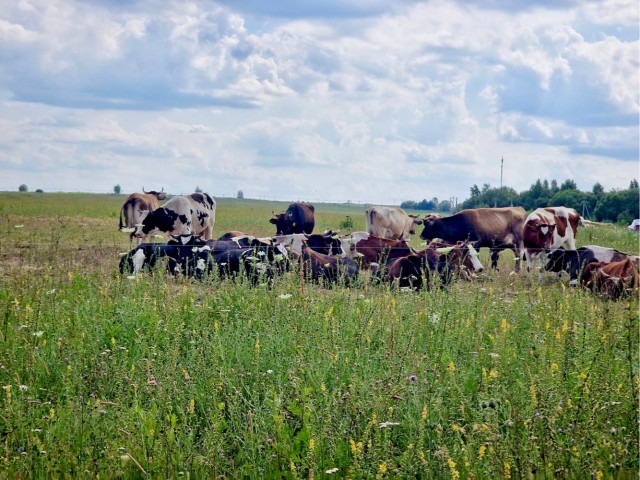 Расчехляем фотоальбомы. Лето 2024