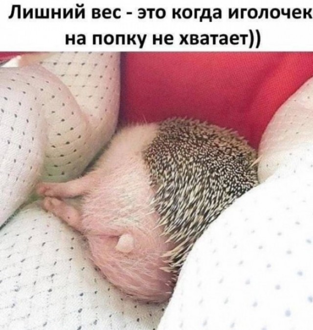 Пост накопления всякой милоты